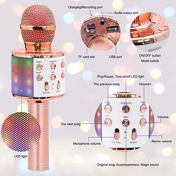 Wireless Bluetooth Handheld Microphone with Speaker | Karaoke & Audio Recording